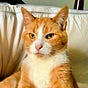 The Bobington Daily News's avatar