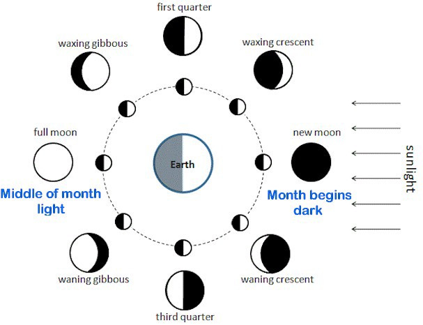 Day 4 of God’s creation week. The new moon appears dark from Earth. The full moon, in the middle of the month, appears light. Day 4 of God’s creation week. The new moon appears dark from Earth. The full moon, in the middle of the month, appears light.