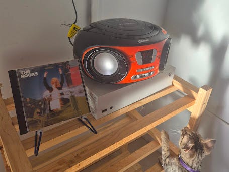 estante com um rádio toca cd laranja e um suporte com o encarte do álbum the kooks - junk of the heart. tem uma gata querendo subir em cima da estante