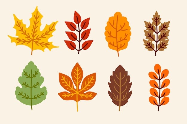 Free Vector | Autumn leaves collection