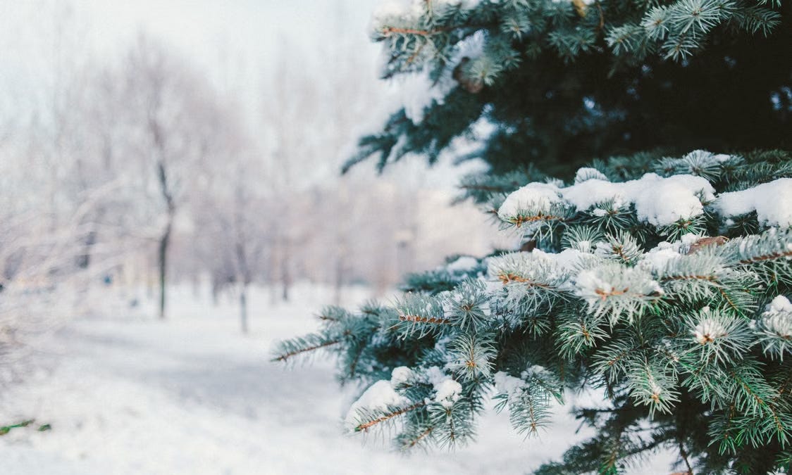 Cool Destinations for Winter Holidays in Southeast Asia