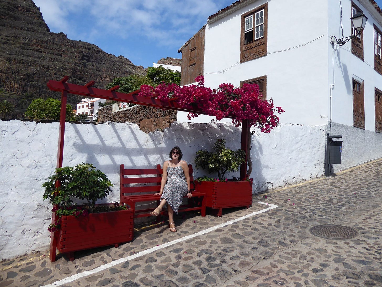 The fragile forests of La Gomera