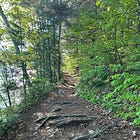 Walking the Camino: Lessons from the Preparation 