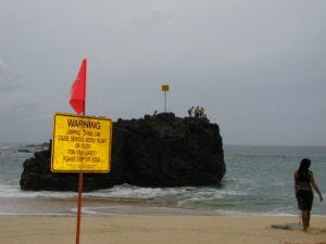Waimea Jumping Stone Waimea Jumping Stone
