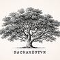 Sacramentum Journal's avatar
