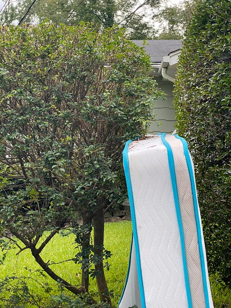 images from around the neighborhood, all containing the same shade of bright blue