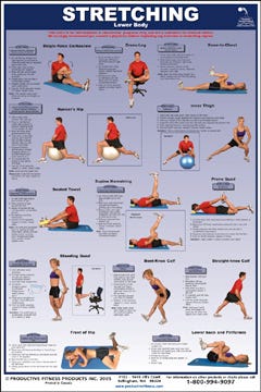 Lower Body Stretching Poster, 53% OFF | palpites.ig.com.br