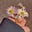 Hollie's avatar