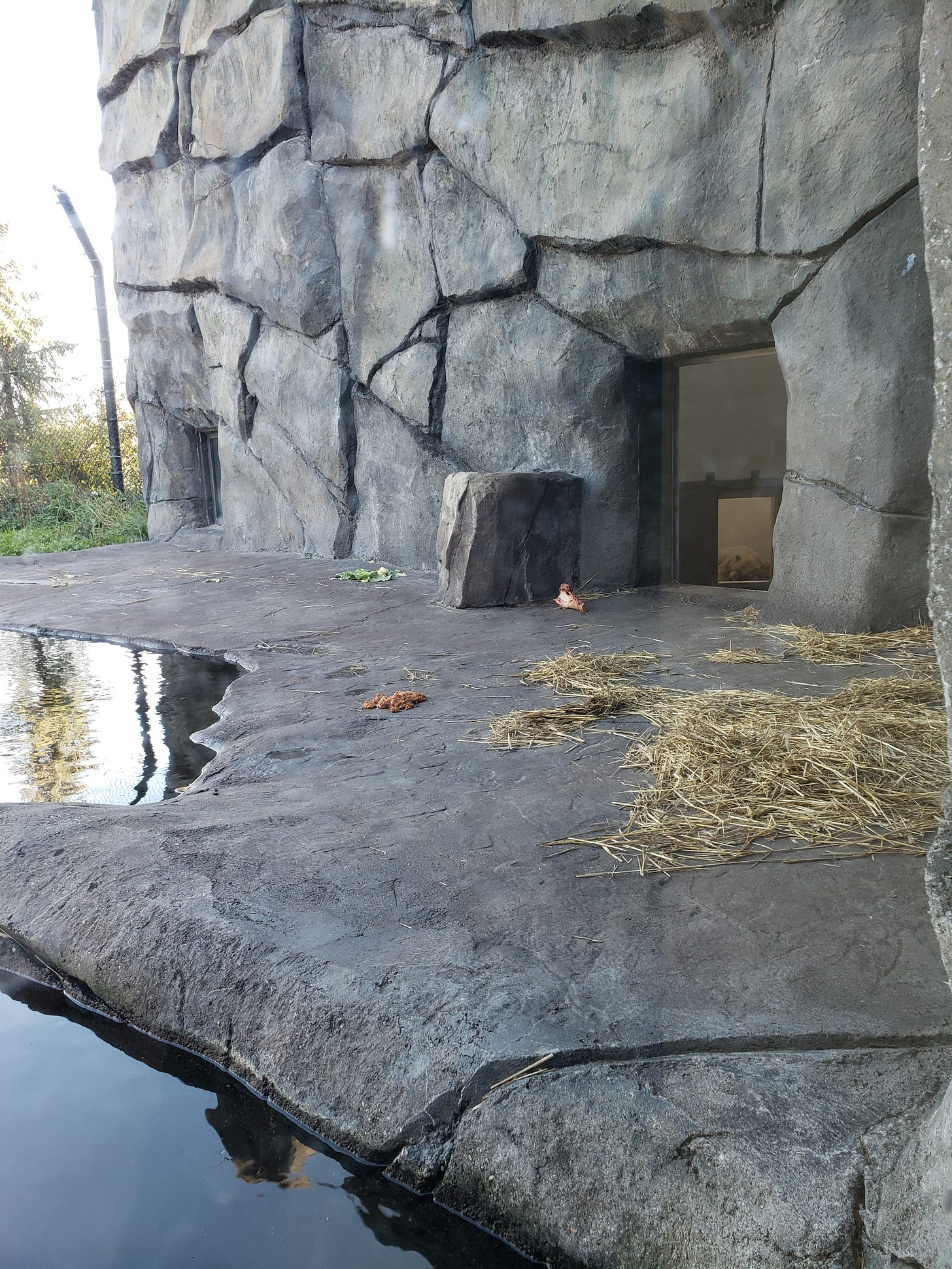 A photo through a pane of glass that shows through the outdoor polar bear exhibit a tiny window where a polar bear is sleeping far away.