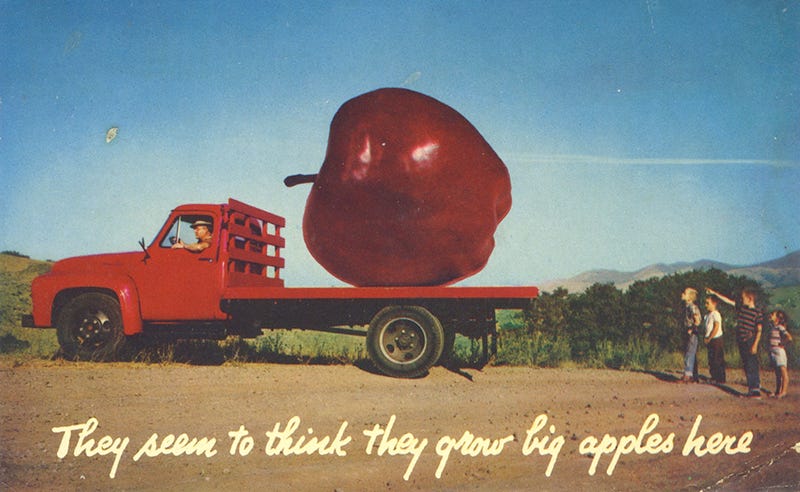 postcard of a giant apple
