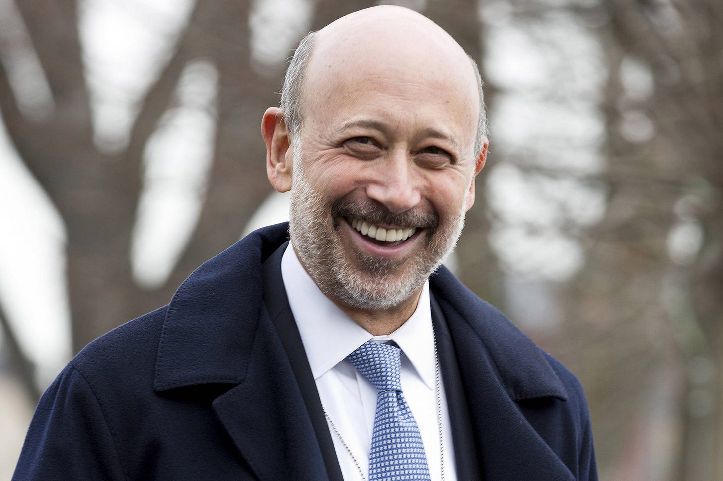 It sure sounds like Goldman's CEO wants into politics