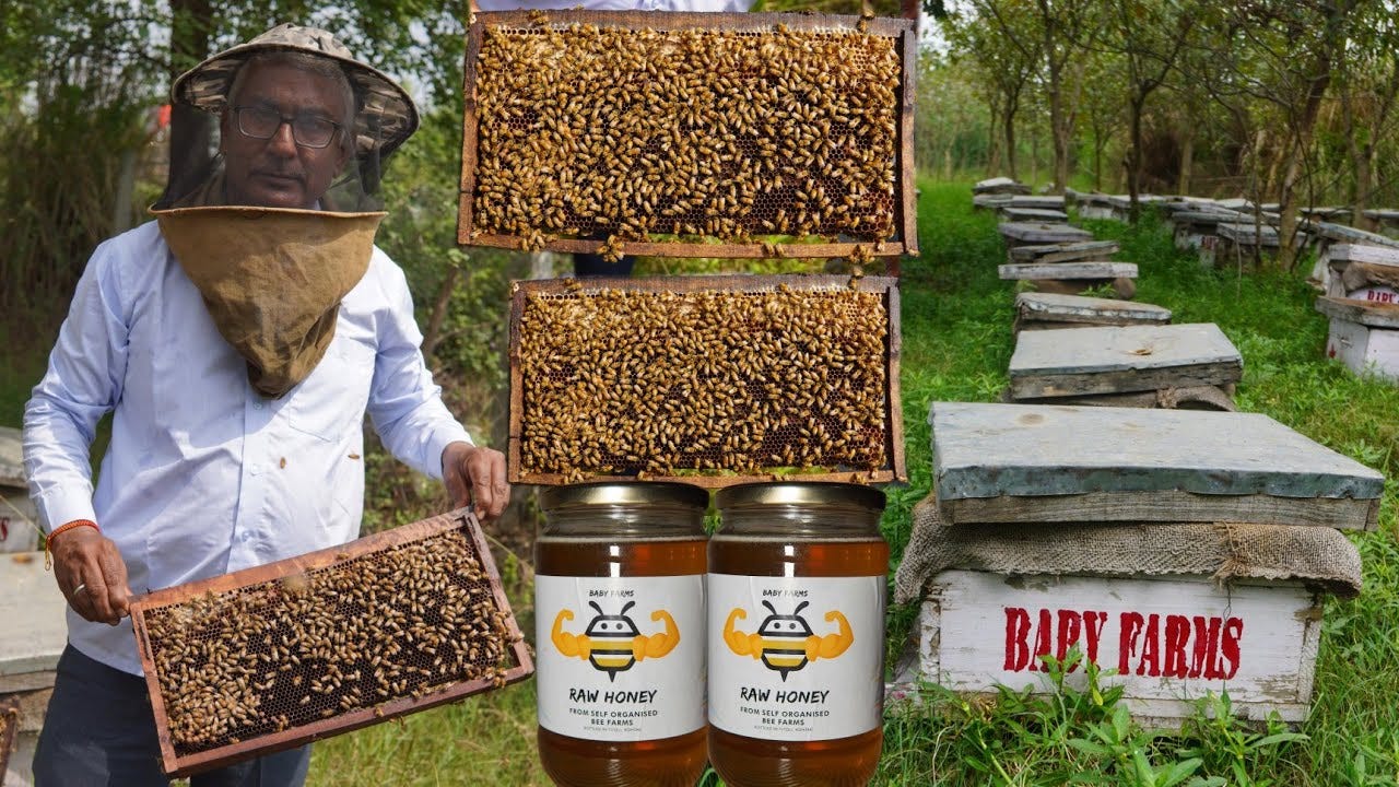 Honey Bees Farming in India || Foodie Saand