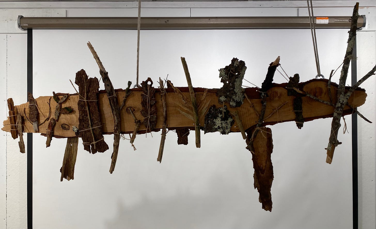 My wood project for art: a long hemlock board, hanging horizontally from the ceiling, with many pieces of bark, sticks, and twigs, in different colors and shapes, affixed to it with twine. 