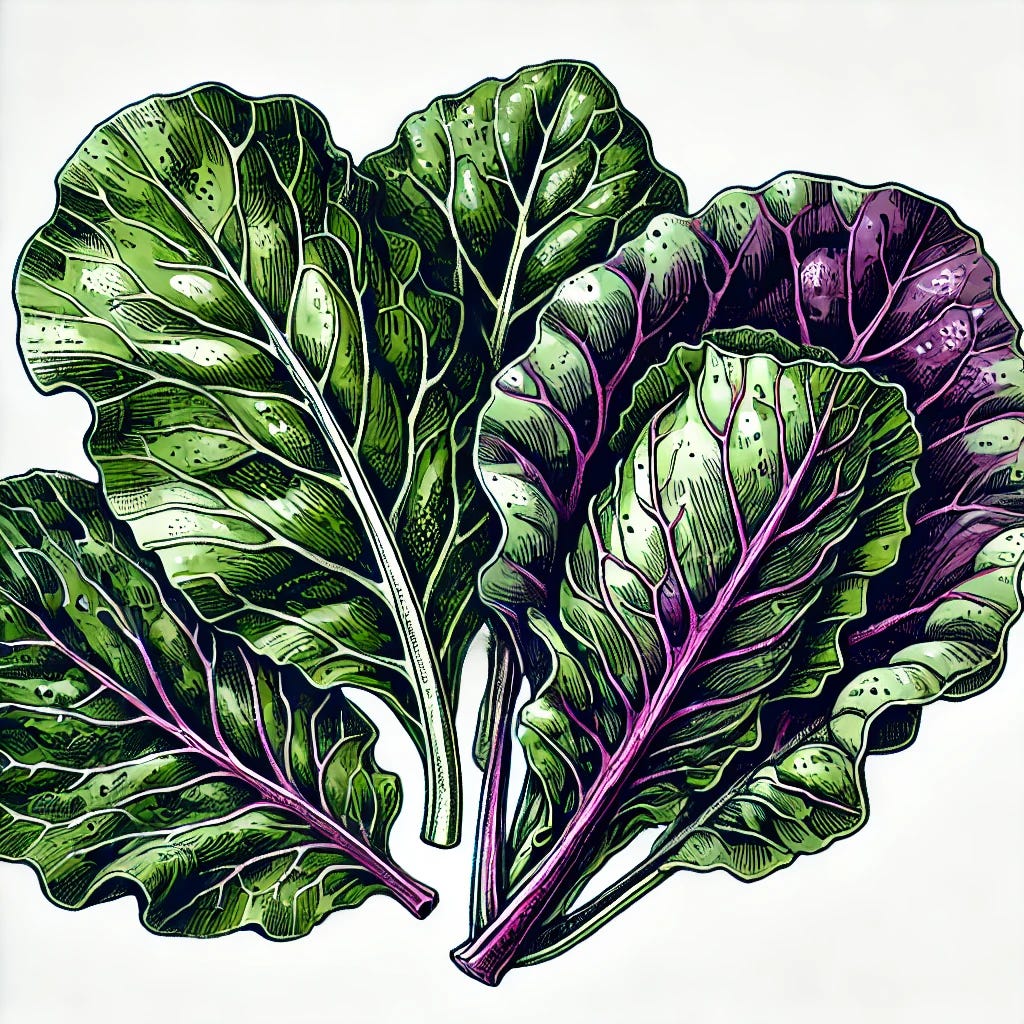 The Beauty Of Collards Which Have Grown In Soils.