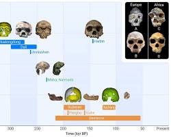 The Dragon and the Ghost: Why "Dragon Man" is the Denisovan We’ve Been ...