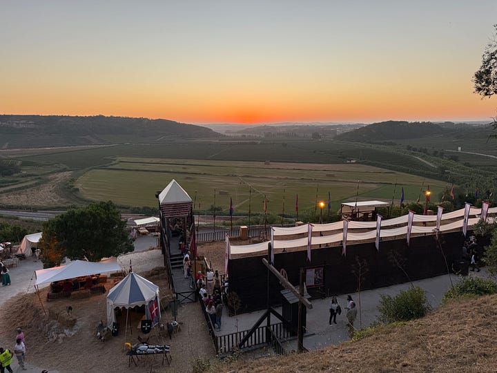 Jousting arena, fire dancing and a food stall with Vikings cooking