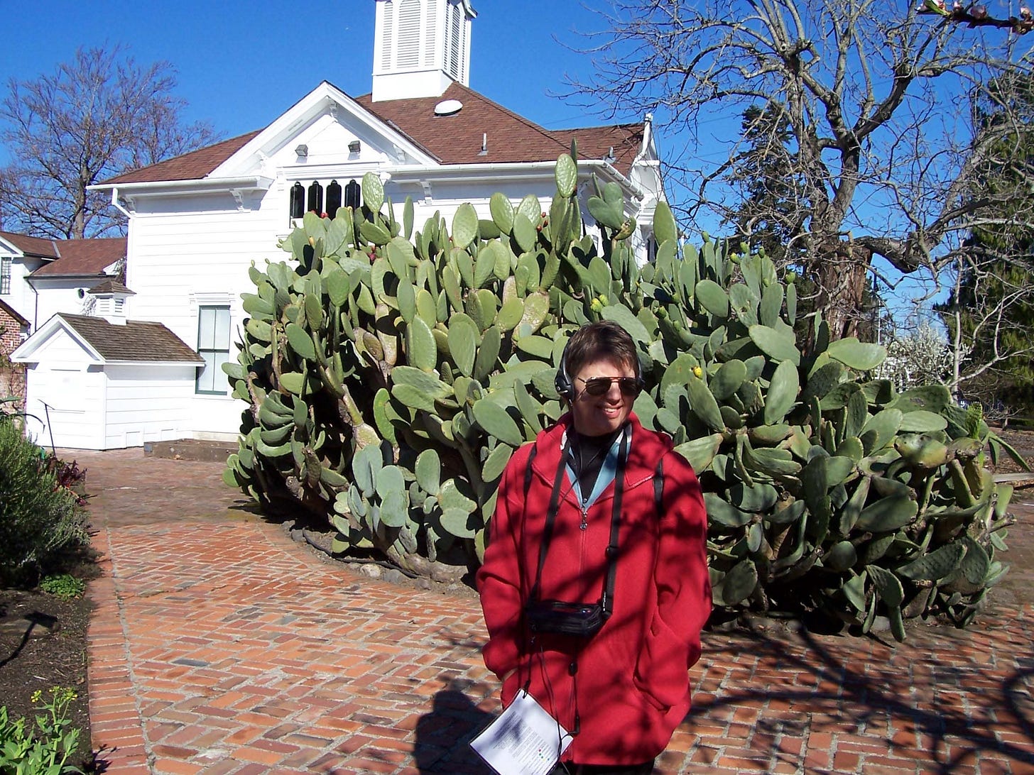 A visitor to the Luther Burbank Home & Gardens Listens to a Description about one of Burbank’s more lucrative developments: spineless cactus A visitor to the Luther Burbank Home & Gardens Listens to a Description about one of Burbank’s more lucrative developments: spineless cactus