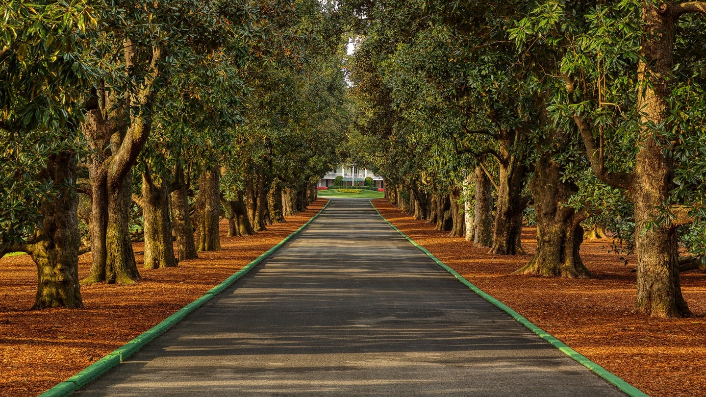 Masters 101: Magnolia Lane