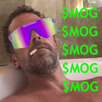 Mog Coin price now, Live MOG price, marketcap, chart, and info | CoinCarp Mog Coin price now, Live MOG price, marketcap, chart, and info | CoinCarp