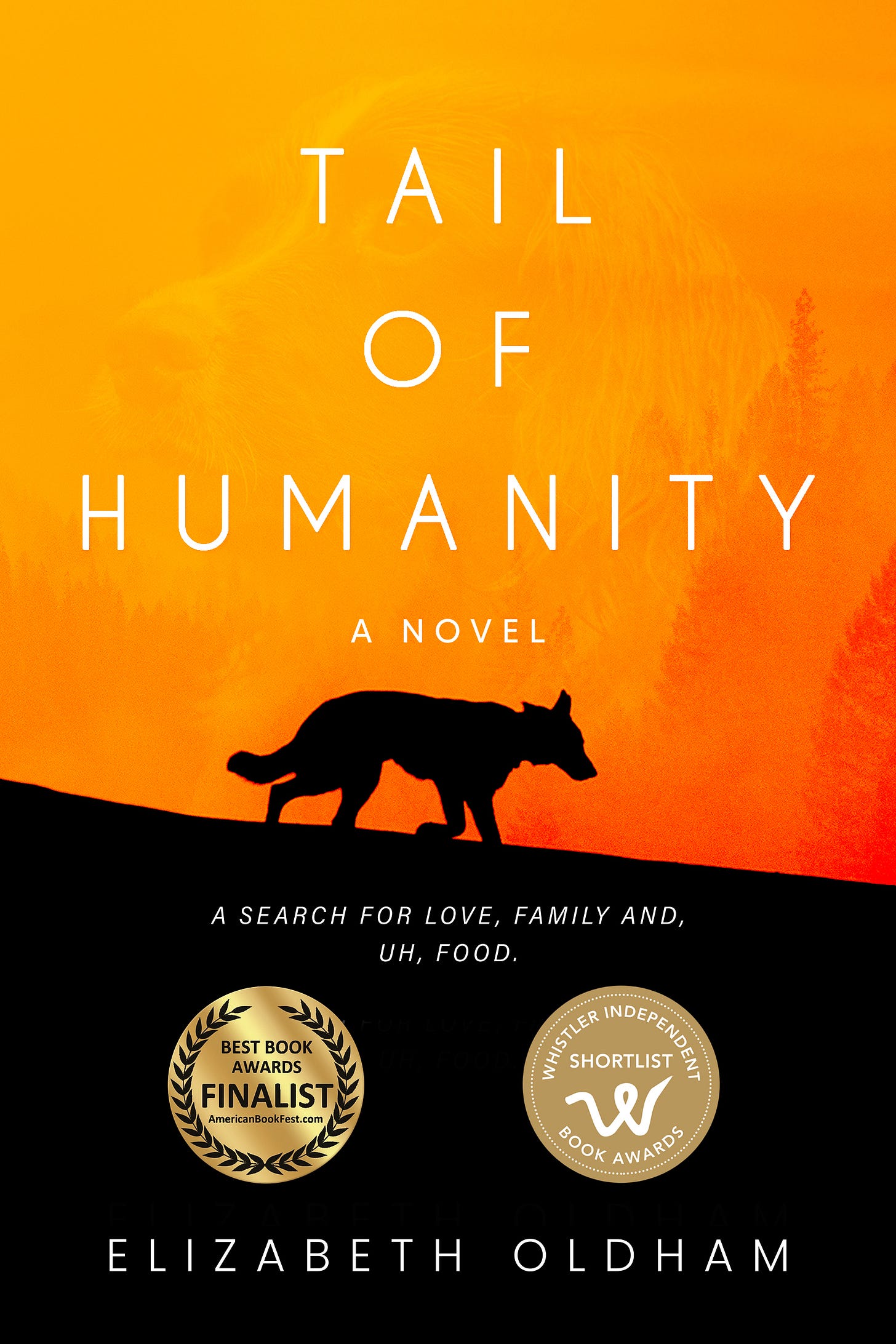 A skinny dog walks down a slope with an orange and black background and the image of a dog's face in the sky. The title is "Tail of Humanity: a novel. A search for love, family and... uh, food.”