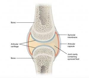 Screen Shot 2016-02-19 at 4.23.37 PM Screen Shot 2016-02-19 at 4.23.37 PM