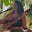 Avatar de Matea Pichet
