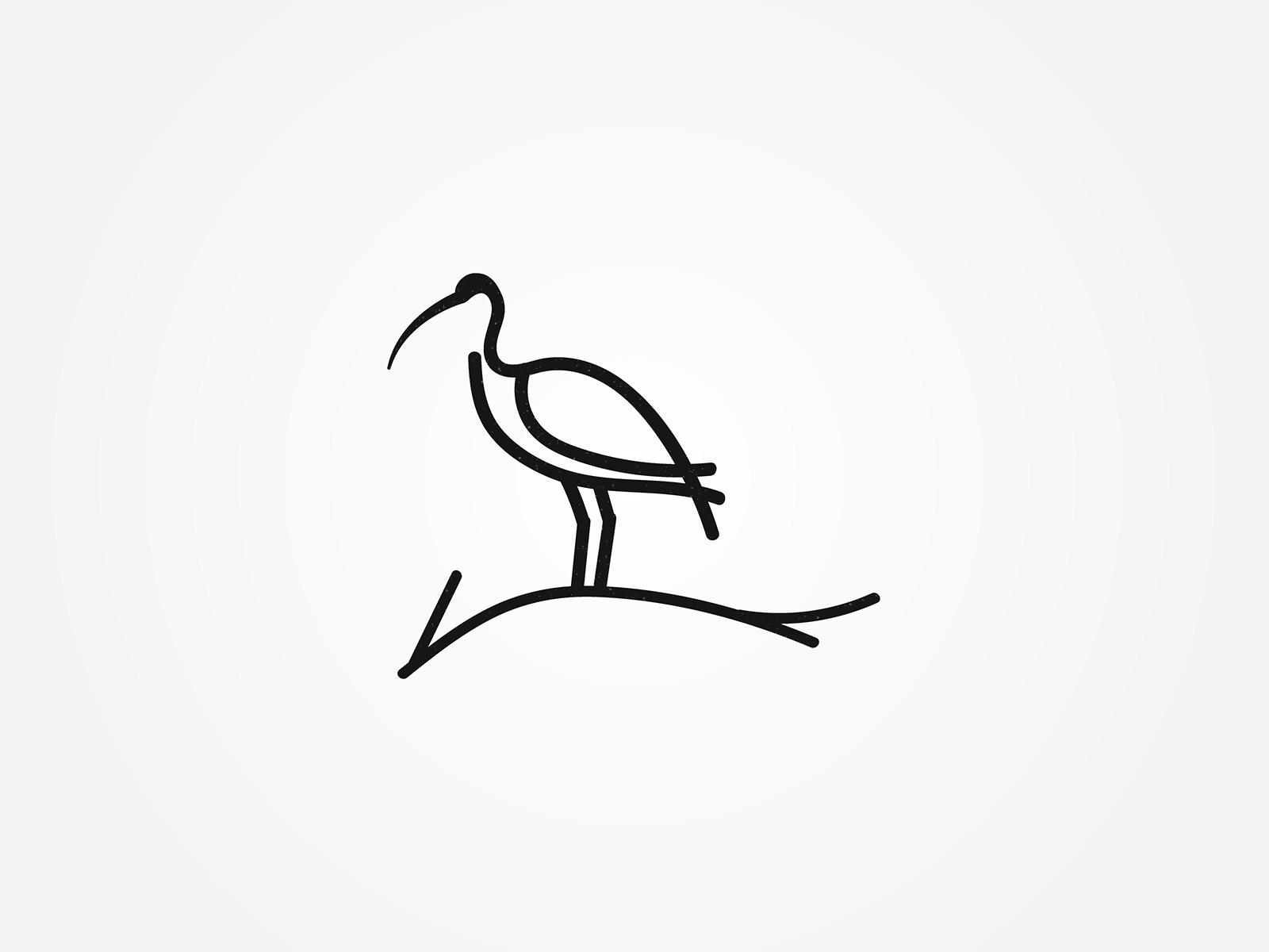 Substack profile picture for @ibis