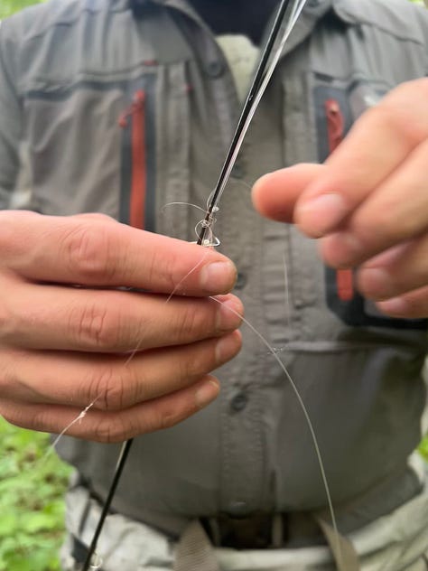 Pictures of man and woman untangling fly line from trees and rods.