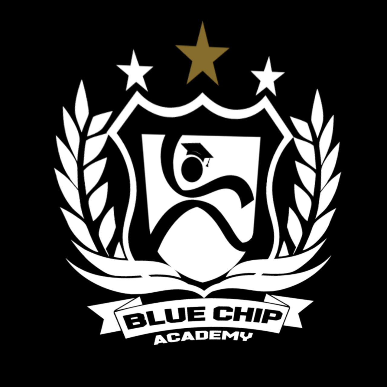Blue Chip Academy 