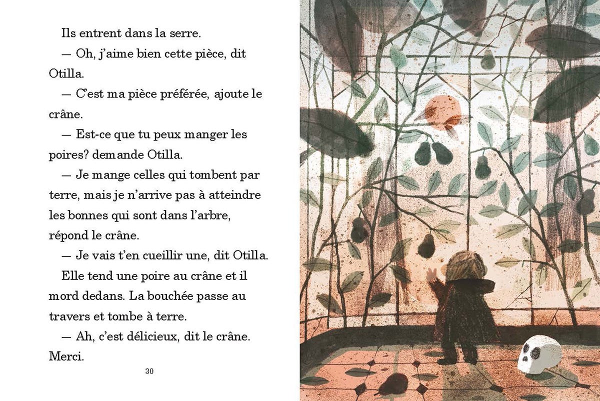 Le crâne | Éditions Scholastic