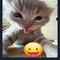 سارة's avatar