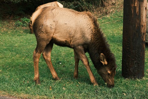 Fuji photographs of life by Tyler Knott Gregson