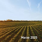 El Camino #8 | Marzo 2025