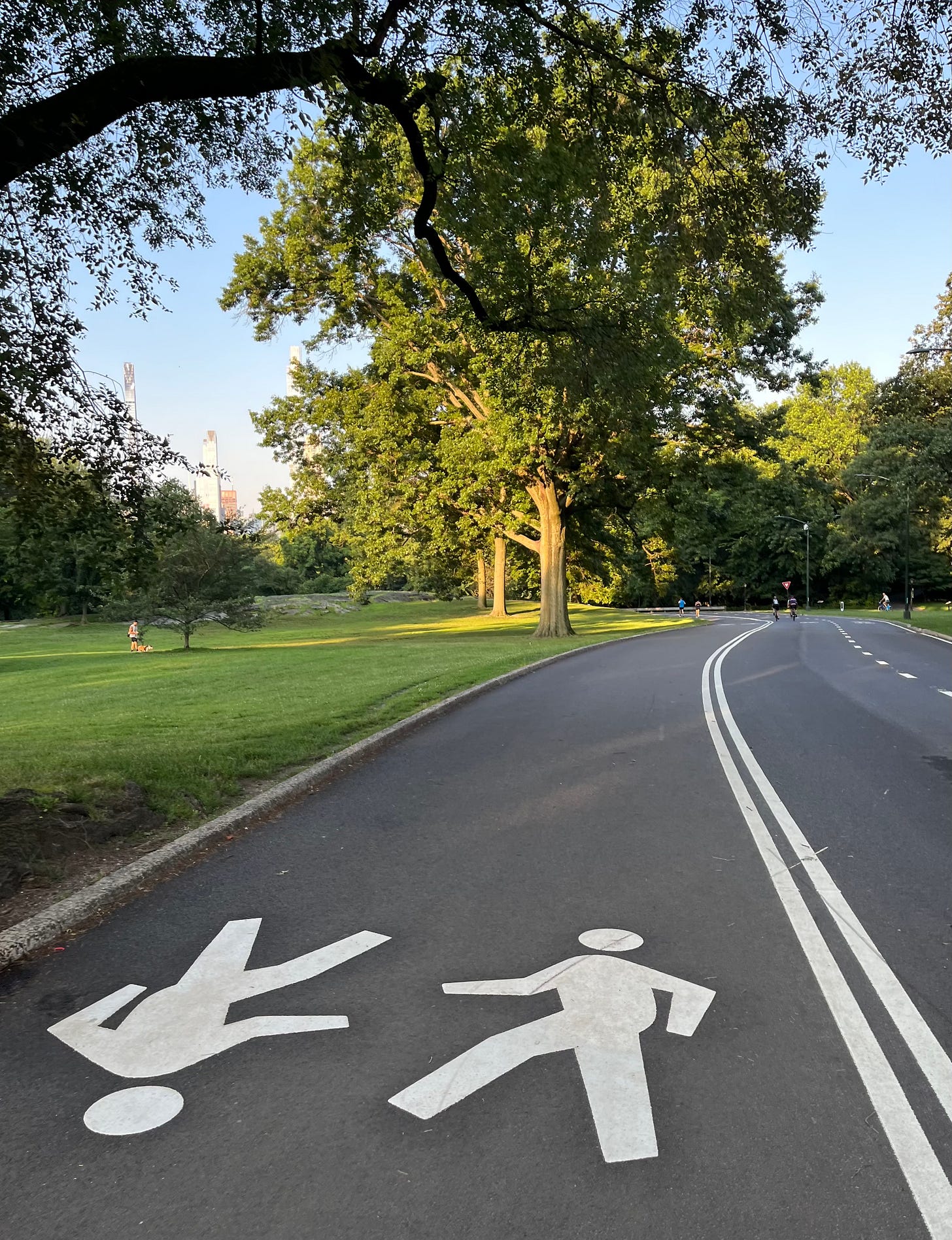 Vista su una strada semi deserta di Central Park, la mattina del 4 luglio