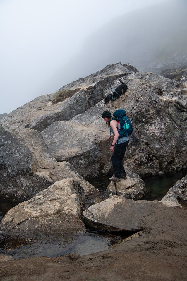 A hiker in a black beanie, tank top, and teal pack steps carefully down big pale granite boulders beside dark pools of water, watching her feet. Above her, a black and tan dog in a harness sniffs its way down the rock. Fog whites out everything beyond the boulderfield, leaving only a faint cliff silhouette.