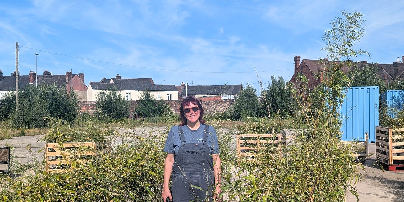 Brilliant Bamboo secures brownfield site in Stoke for pioneering parklet