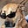 The Juridical Dog's avatar