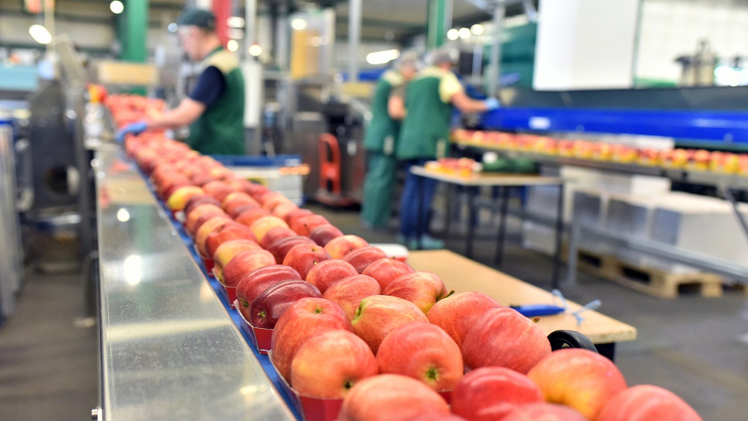 Innovation in Fresh Produce Industry