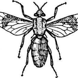 THE EDUCATION CONTRARIAN