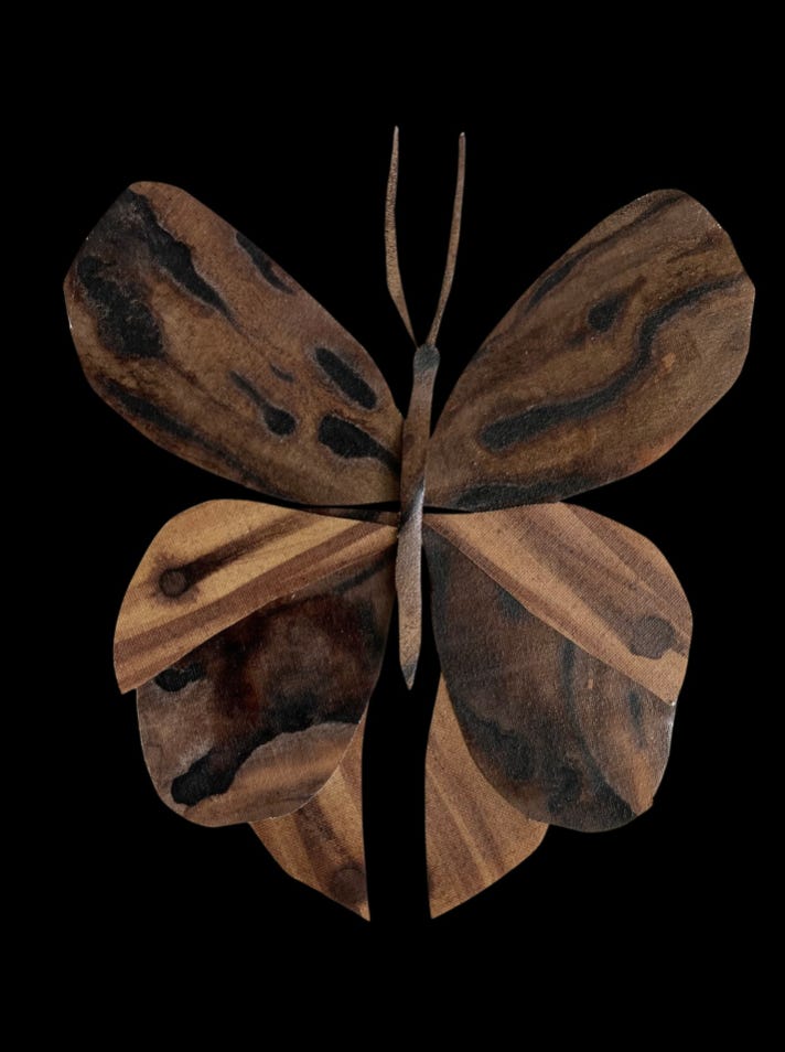 brown butterfly by Shannon Streiff brown butterfly by Shannon Streiff