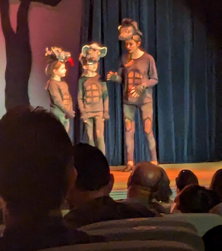 Lion King Jr