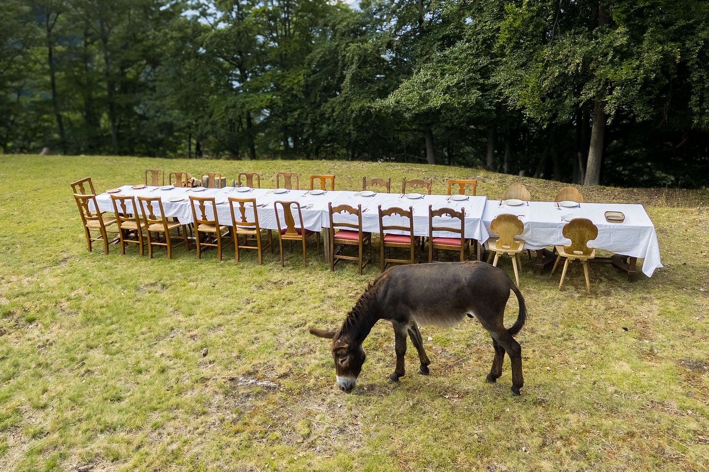 Ein langer, festlich gedeckter Tisch mit weissem Tischtuch und vielen bunten Holzstühlen steht auf einer grünen Wiese am Waldrand. Teller, Besteck und Servietten sind bereits vorbereitet, aber keine Menschen sind zu sehen. Im Vordergrund grast ein dunkelbrauner Esel ruhig auf der Wiese. Im Hintergrund dichter Laubwald unter leicht bewölktem Himmel. Die Szene wirkt idyllisch und ländlich – wie eine Einladung zu einem Freiluft-Festessen in der Natur. Ein langer, festlich gedeckter Tisch mit weissem Tischtuch und vielen bunten Holzstühlen steht auf einer grünen Wiese am Waldrand. Teller, Besteck und Servietten sind bereits vorbereitet, aber keine Menschen sind zu sehen. Im Vordergrund grast ein dunkelbrauner Esel ruhig auf der Wiese. Im Hintergrund dichter Laubwald unter leicht bewölktem Himmel. Die Szene wirkt idyllisch und ländlich – wie eine Einladung zu einem Freiluft-Festessen in der Natur.