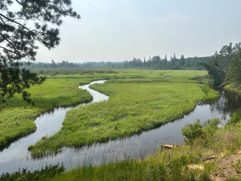 To whoever owns this take-out, you have a gorgeous view