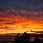 It's down to the States