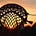 Mitten State Lax Newsletter