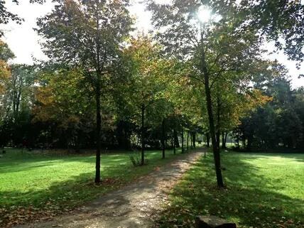 Ein Spaziergang im Stadtpark