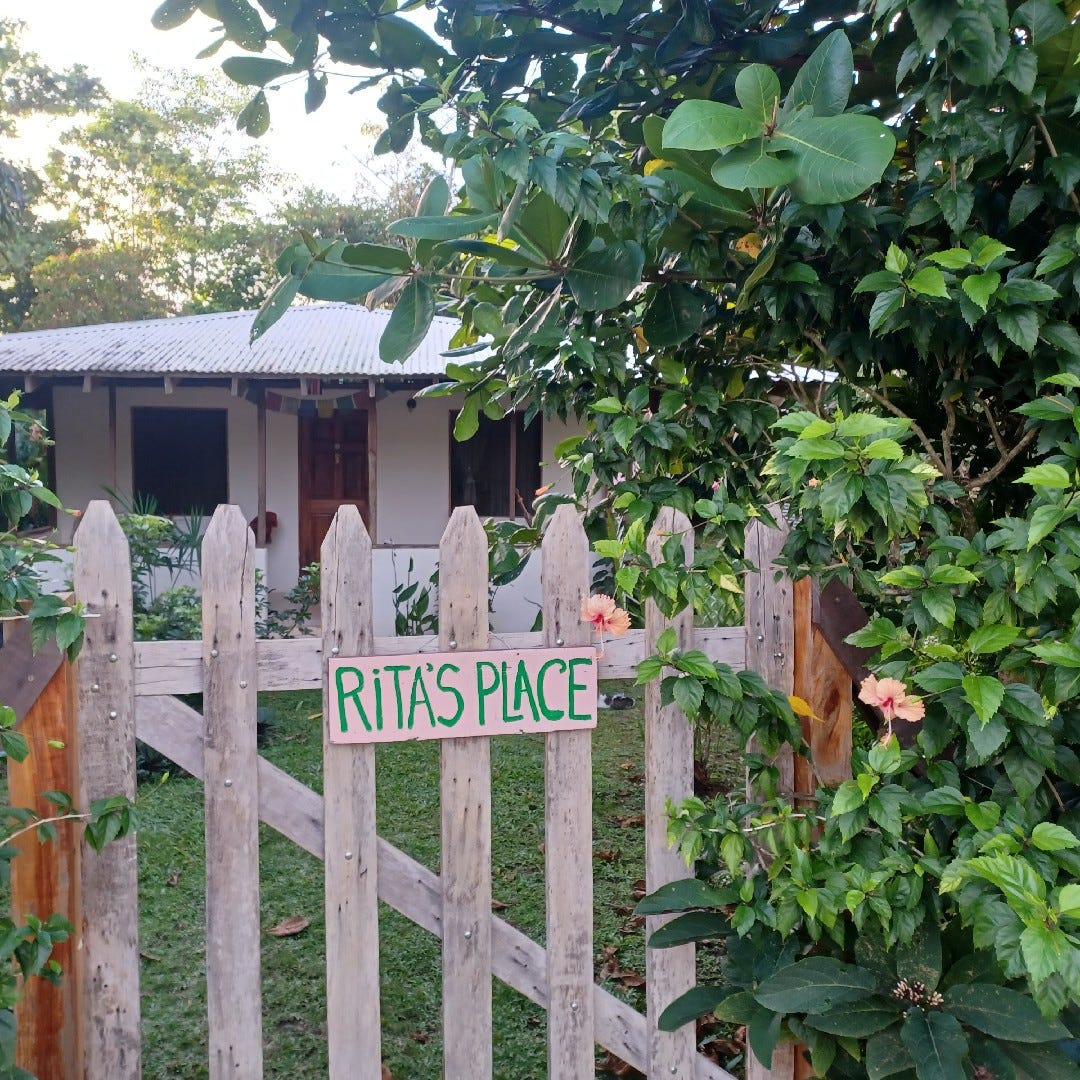 Connie Lynn White Writes