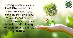 Nothing in nature lives for itself ...