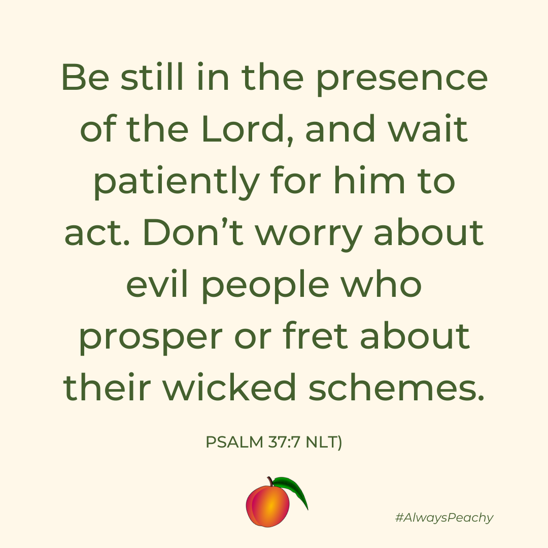 Be still in the presence of the Lord, and wait patiently for him to act. Don’t worry about evil people who prosper or fret about their wicked schemes. (Psalm 37:7)