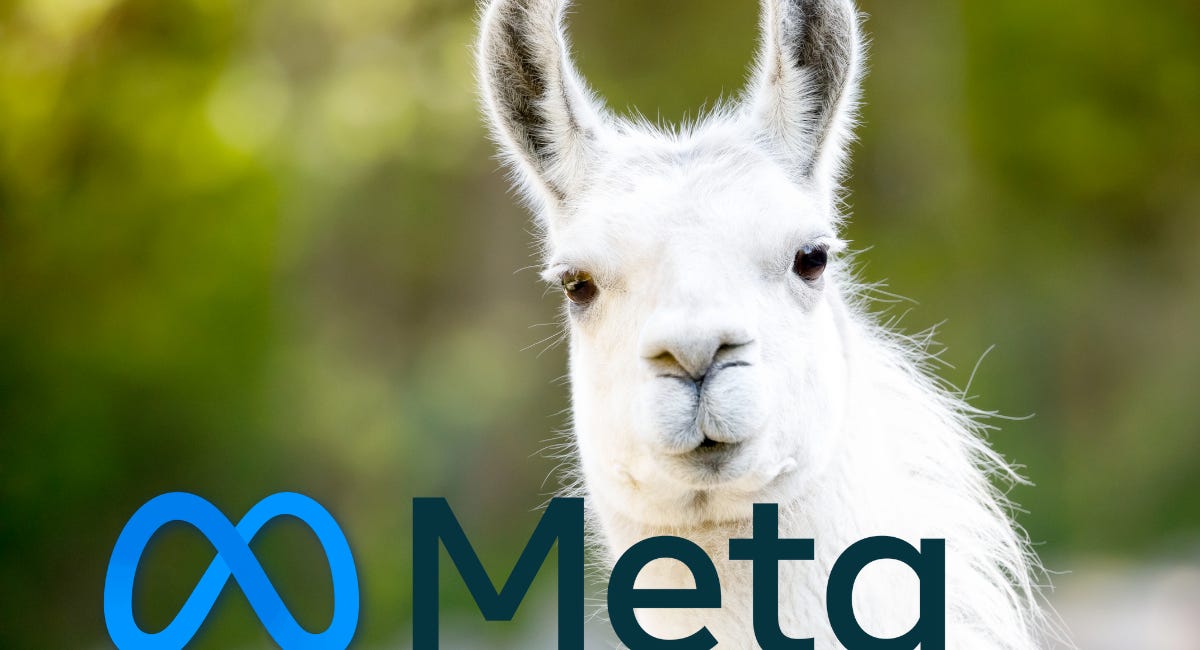 Meta Wants to Make AI “Moatless"
